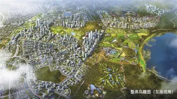 区国资局推动国企改革优化重组 为光明科学城建设提供全方位支持