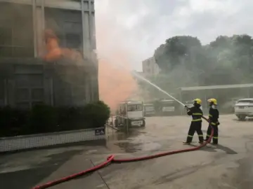 消除火灾隐患，筑牢安全防线！碧岭街道举行居家消防安全培训宣讲会