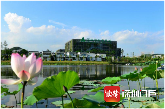 深入践行以人民为中心理念！坪地公布14个涉民生主要工作部门负责人手机号码