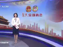 广东代表团专题学习习近平总书记参加内蒙古代表团审议时重要讲话精神