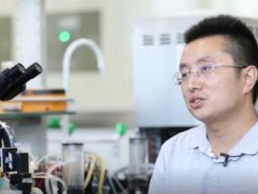 哈工大（深圳）教授马星获“广东青年五四奖章”