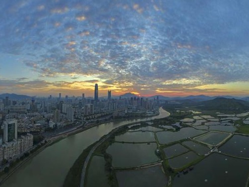 今年1至5月深圳河水质达30多年来最好水平