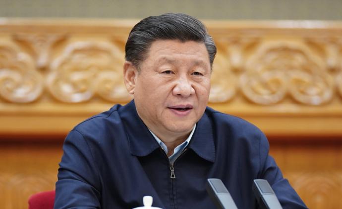 习近平主持专家学者座谈会强调，构建起强大的公共卫生体系，为维护人民健康提供有力保障