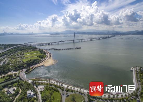 深圳湾正积极申报国家级海洋自然保护区