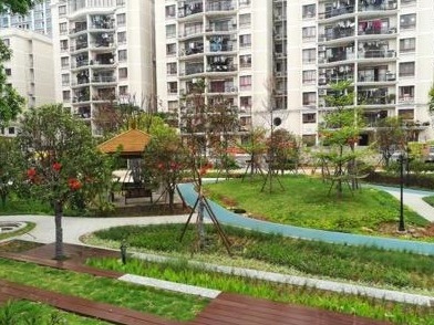 景田天健花园海绵化改造项目竣工验收