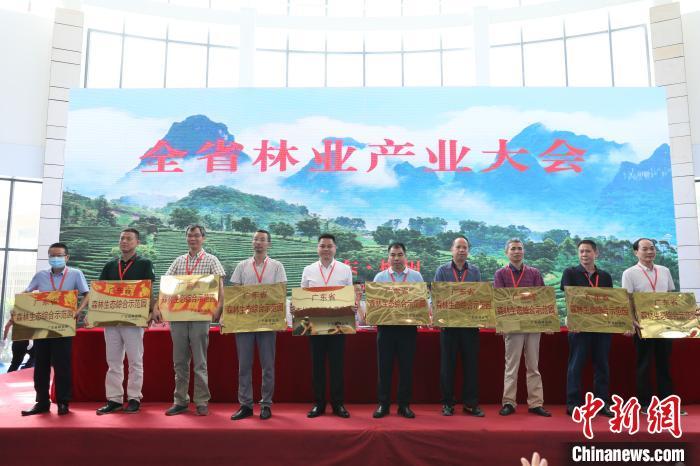 广东林业产值达8416亿元 连续11年全国第一