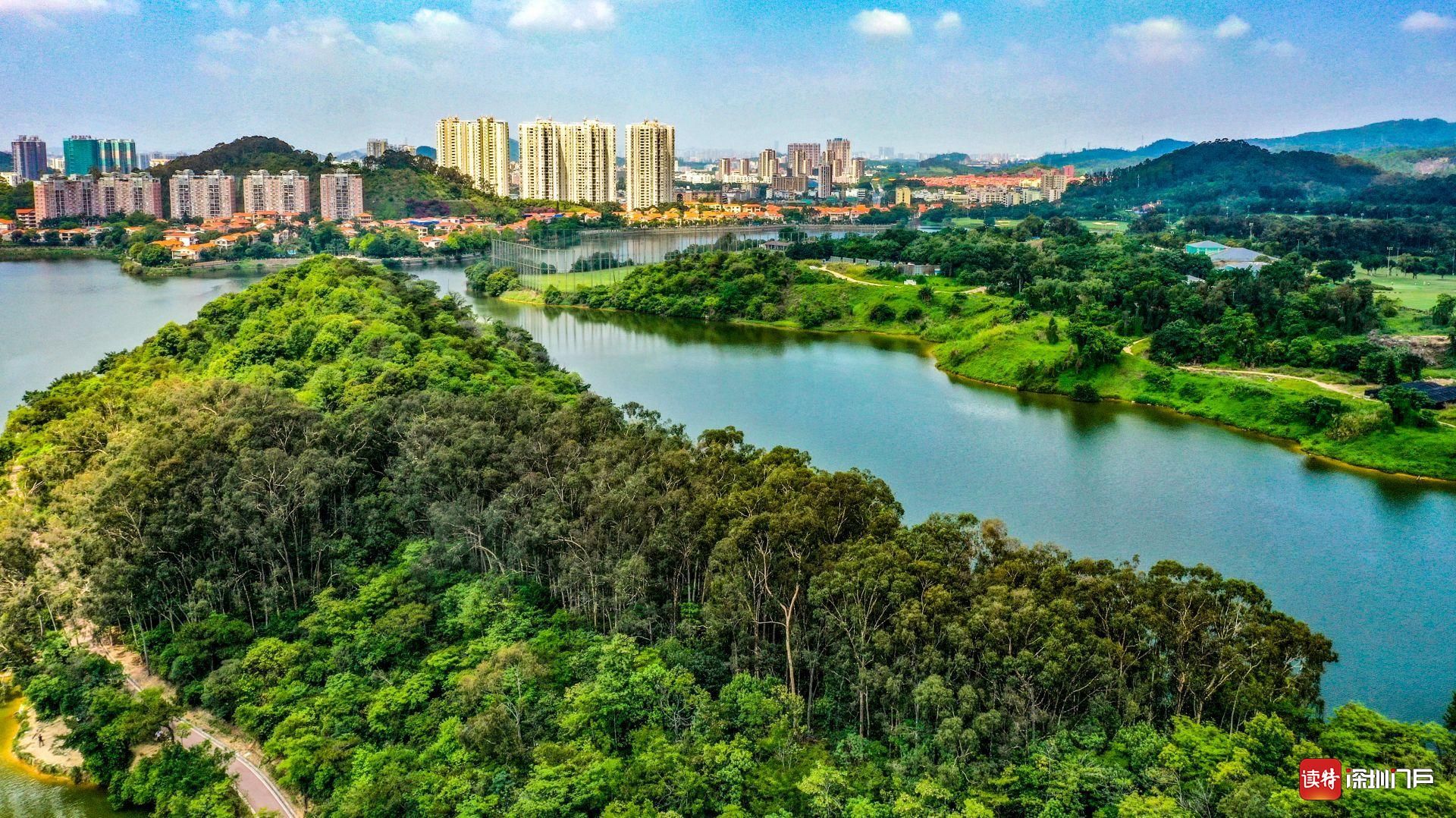 打造1000个街头小景，东莞将全面提升园林绿化景观品质_南方plus_南方+