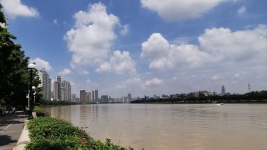 热浪到货！广州11区全部生效高温预警