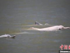 广东2处湿地上榜国家重要湿地名录