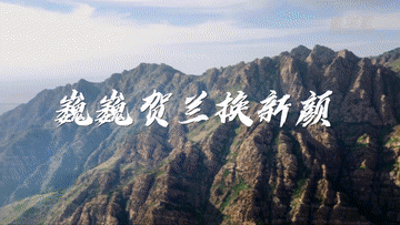 跟着总书记的考察足迹｜巍巍贺兰换新颜
