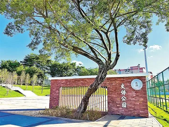 惊喜！光明又一公园开放！“量身定制的露天健身房”就在家门口