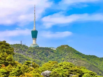 深圳看海地铁8号线就要开通了，沿途罗湖美景亮了
