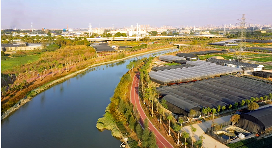 深政观察｜信号！深圳和四市跨界开展环境资源司法保护