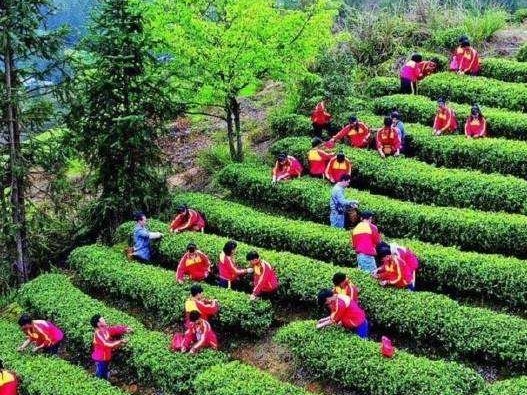 教育部公布普通高中课程方案 劳动为必修课占6学分