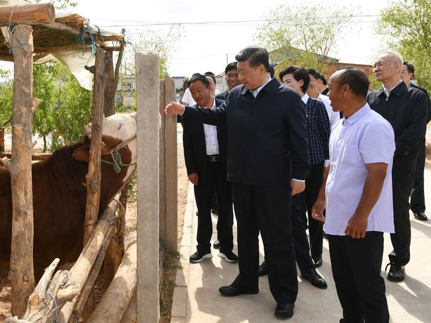 脱贫攻坚倒计时200天：习近平强调“一个少数民族也不能少”