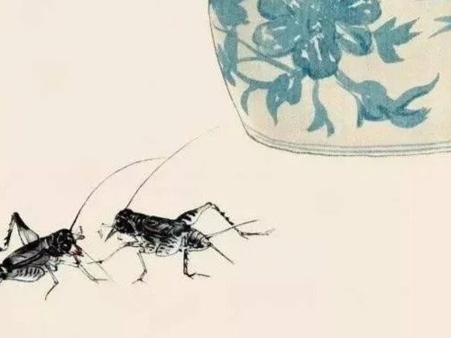 “四季英华——青年工笔艺术展”初评出炉！