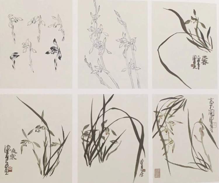 陈佩秋先生仙逝，海上画坛痛失一位领军人物