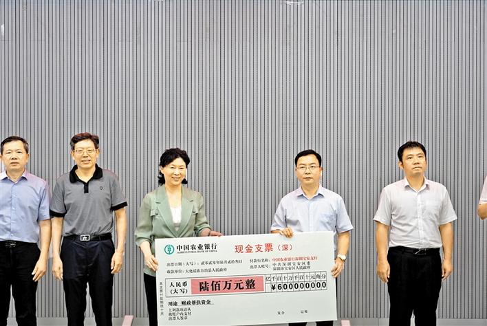 直面困难不退让 务求扶贫协作取得全胜！郭子平率队到广西大化调研扶贫协作工作