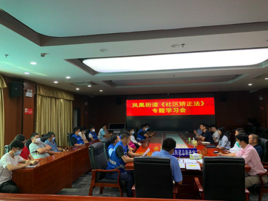 凤凰街道：“线上线下”宣传《社区矫正法》