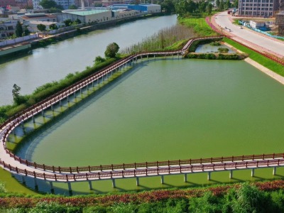 东莞道滘打造乡村农田景观，掌洲河示范项目初现美貌