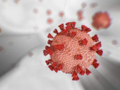 研究表明，变异使新冠病毒更具传染性
