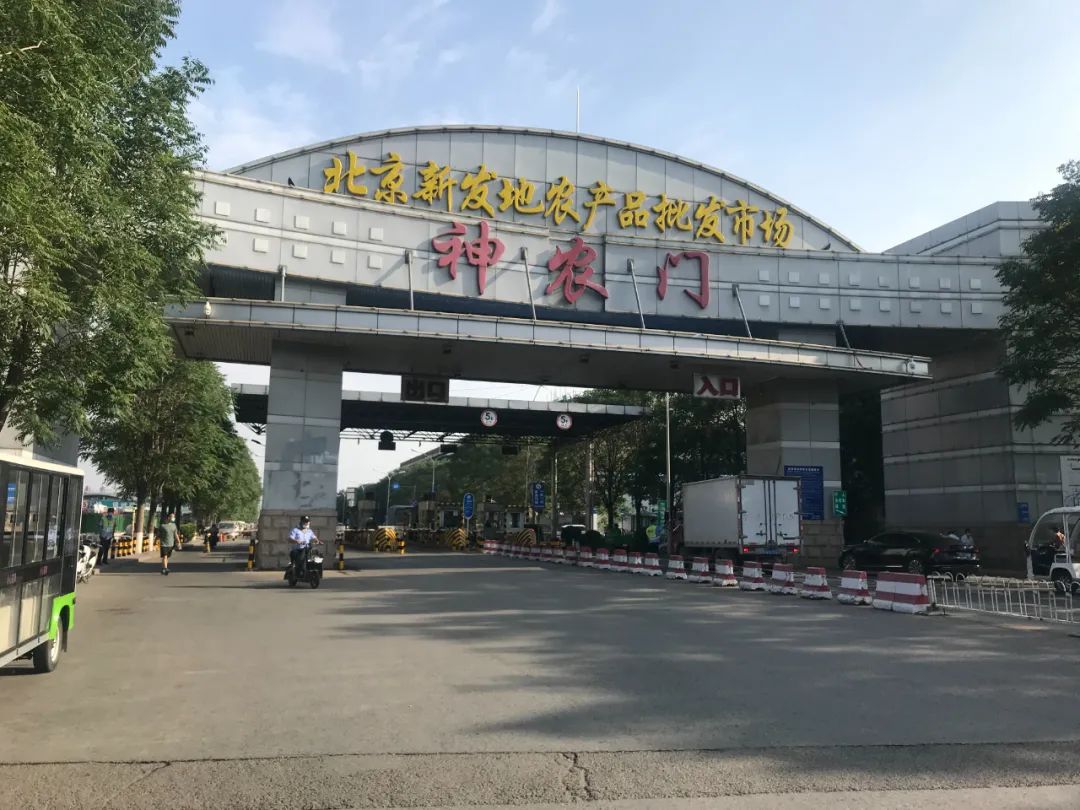 北京商超连夜下架，三文鱼还能吃吗？专家这样说