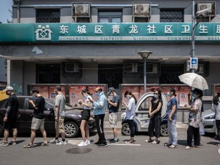 与病毒赛跑 北京8天核酸采样超200万人