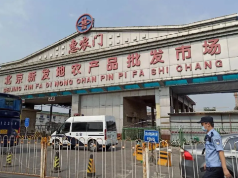 专家回应北京疫情反弹：三文鱼等海产品致人感染证据不足