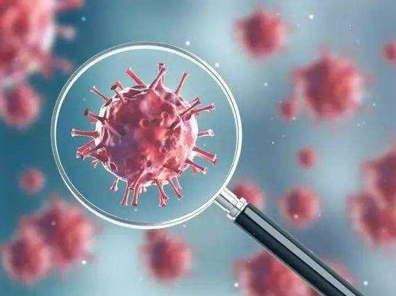 专家：三文鱼不太可能是新冠宿主，当务之急是查清有无跨物种传播