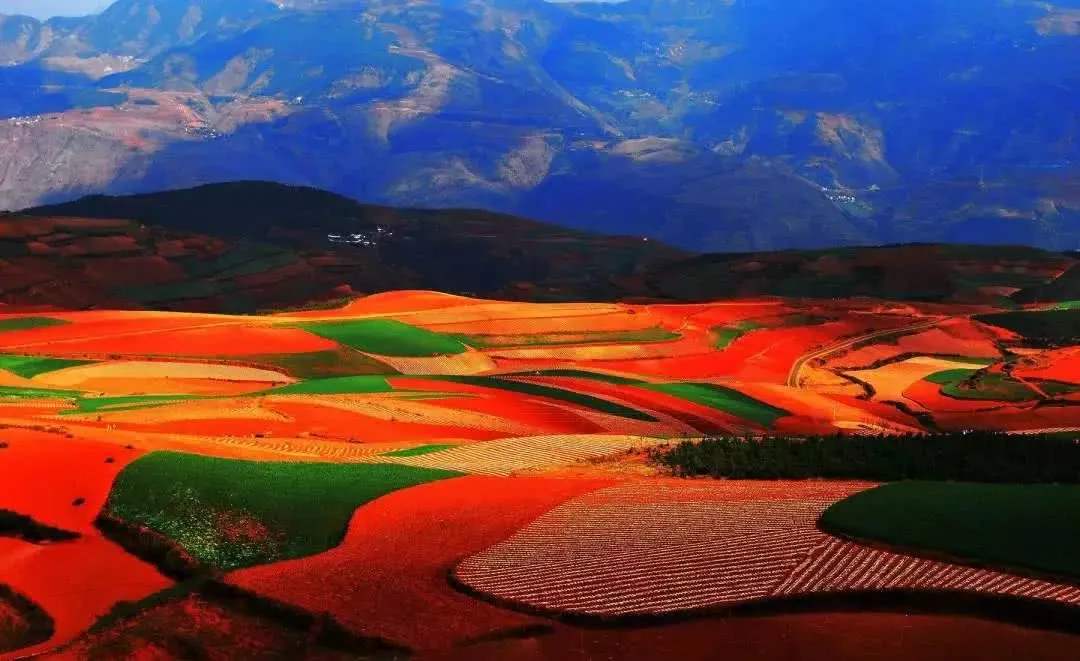 建设四季飞花的“多彩昆明” 