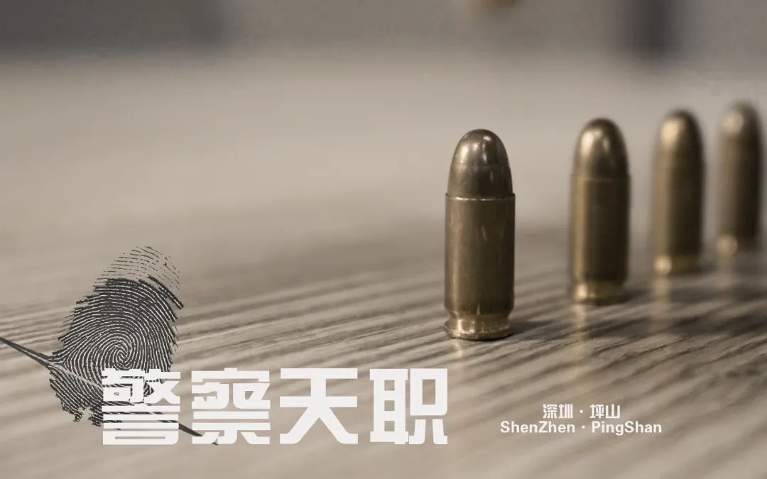 闪亮答卷！坪山警队100天内刑拘206人，破案191宗