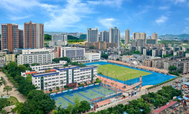 光明区东周社区党委坚持多了解真落实 为民服务“不打折”