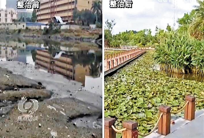 宝安治水让茅洲河畔成市民打卡地