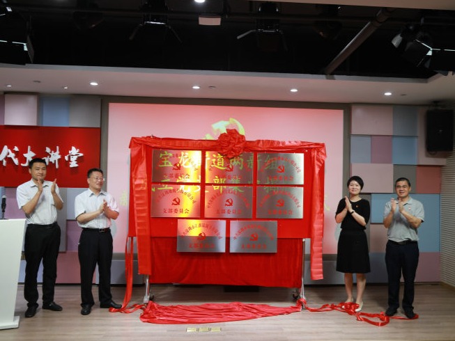 献礼建党99周年，宝龙街道两新组织新添9个党支部