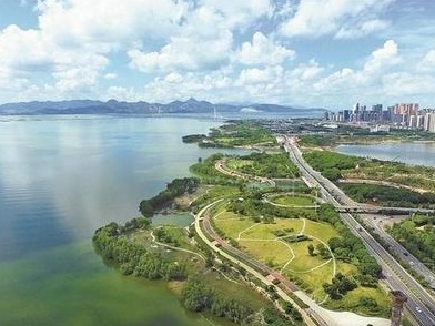 深圳湾海水水质基本恢复到城市建设初期水平