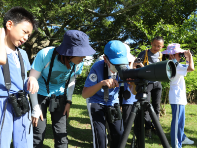首届粤港澳观鸟节野外观鸟活动在深圳湾公园举行