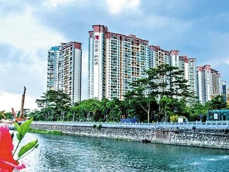 宝安“驯水·蝶变”全景图：水清岸绿 鱼翔浅底 鸥鹭齐飞