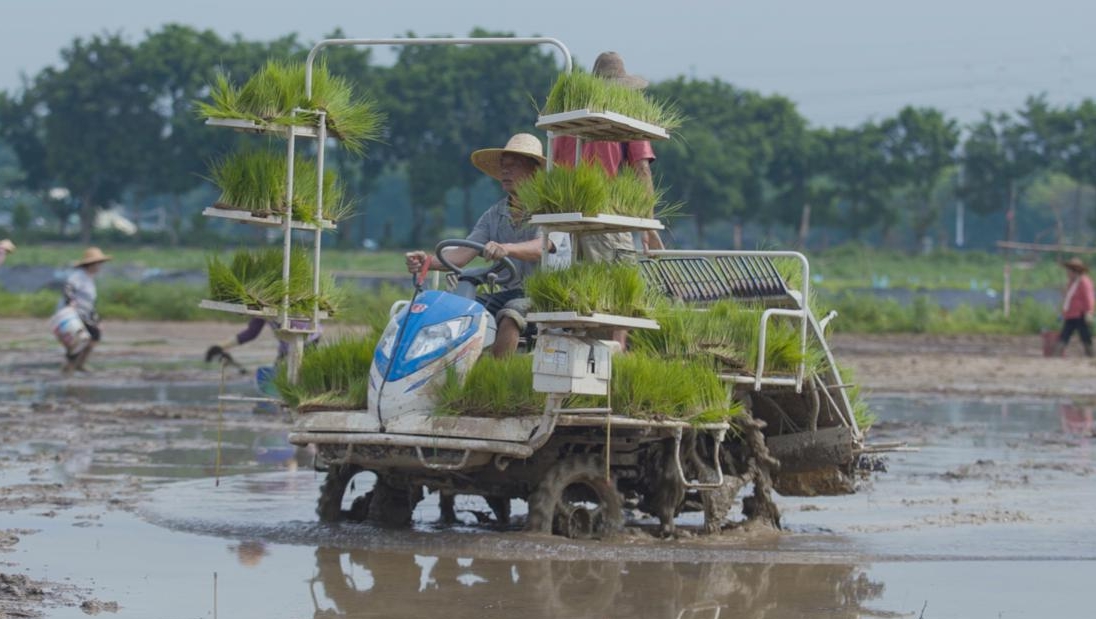 节约集约用地，广州推进集体用地建设租赁住房试点