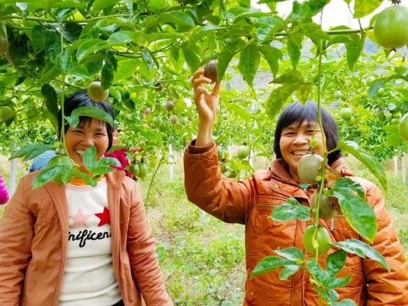 深圳市属国资国企对口帮扶显担当，27个贫困村全部脱贫摘帽