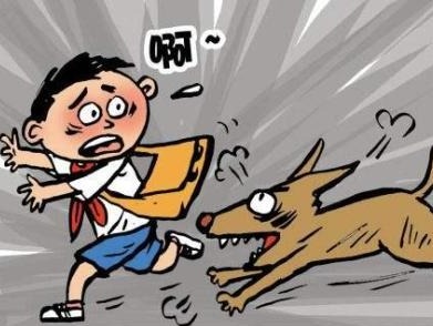 6岁幼童逗犬被咬伤，家长监护不力亦需担责