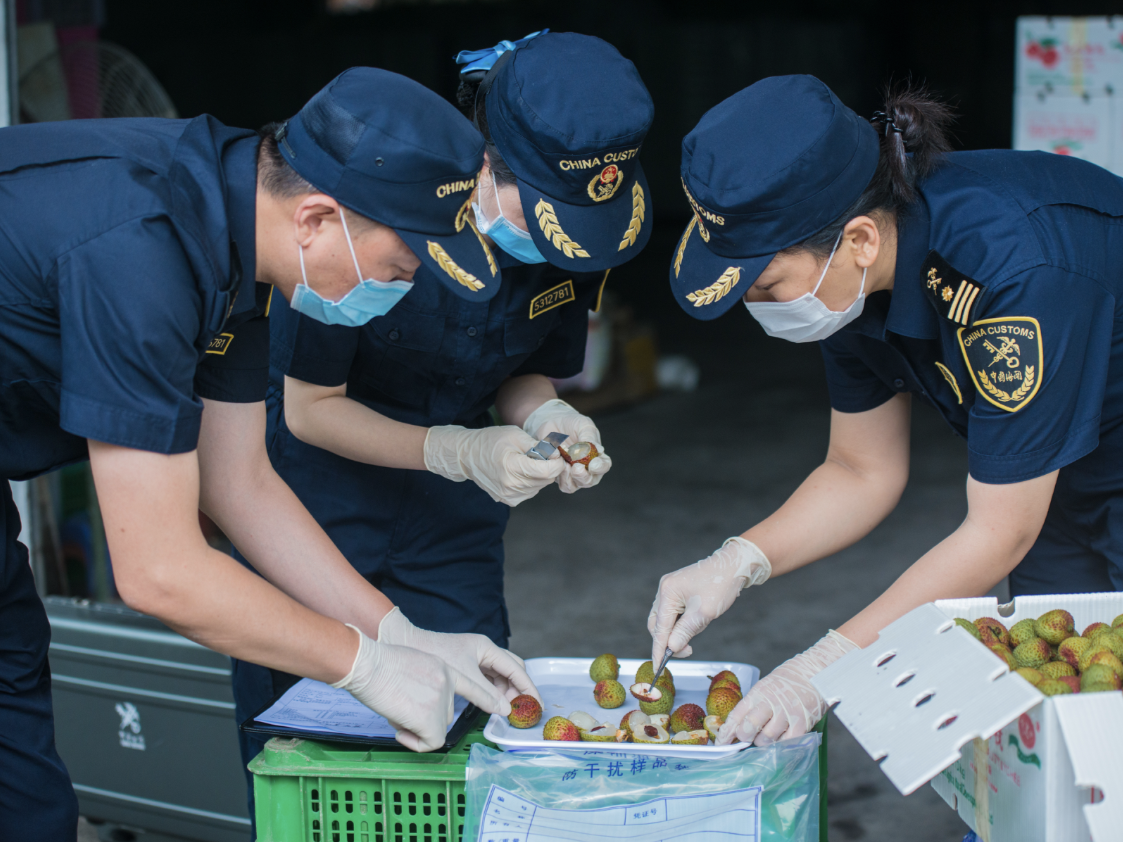 深圳海关助惠州荔枝首次自主出口