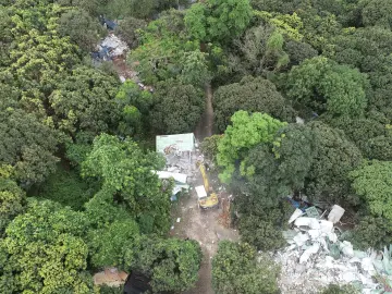 南山亮剑强势拆违，保障重大项目落地