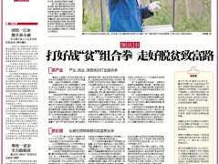 肇庆：打好战“贫”组合拳，走好脱贫致富路