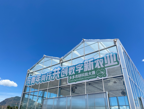 17支队伍、108位选手角逐“AI种草莓”，与全国劳模、人大代表等同台竞技