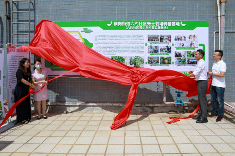 横岗街道六约社区无土栽培科普基地暨六约社区青少年科普实践基地揭牌 