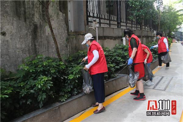 罗湖一群特殊的“搬运工”在为创建文明城市而努力