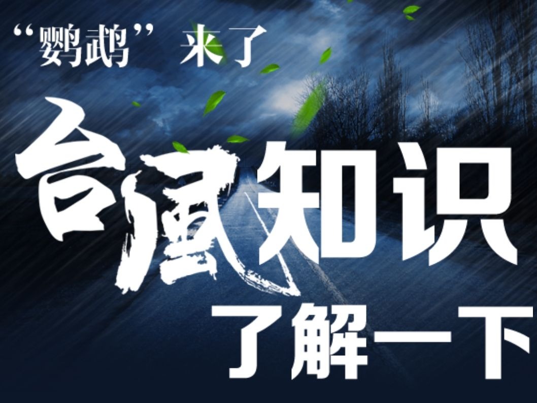 “鹦鹉”来了，带你了解台风等级、台风预警信号！