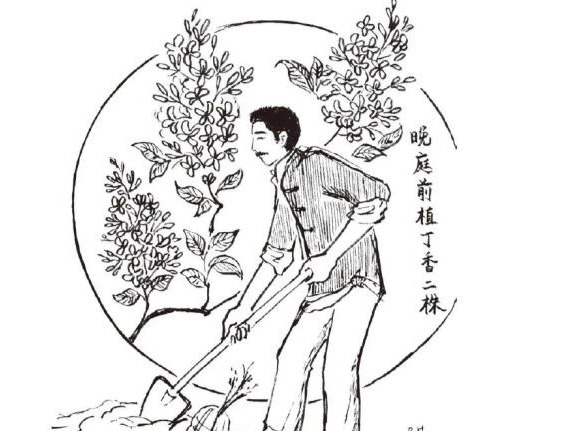 鲁迅不仅爱看电影，还是个不折不扣的“草木达人”
