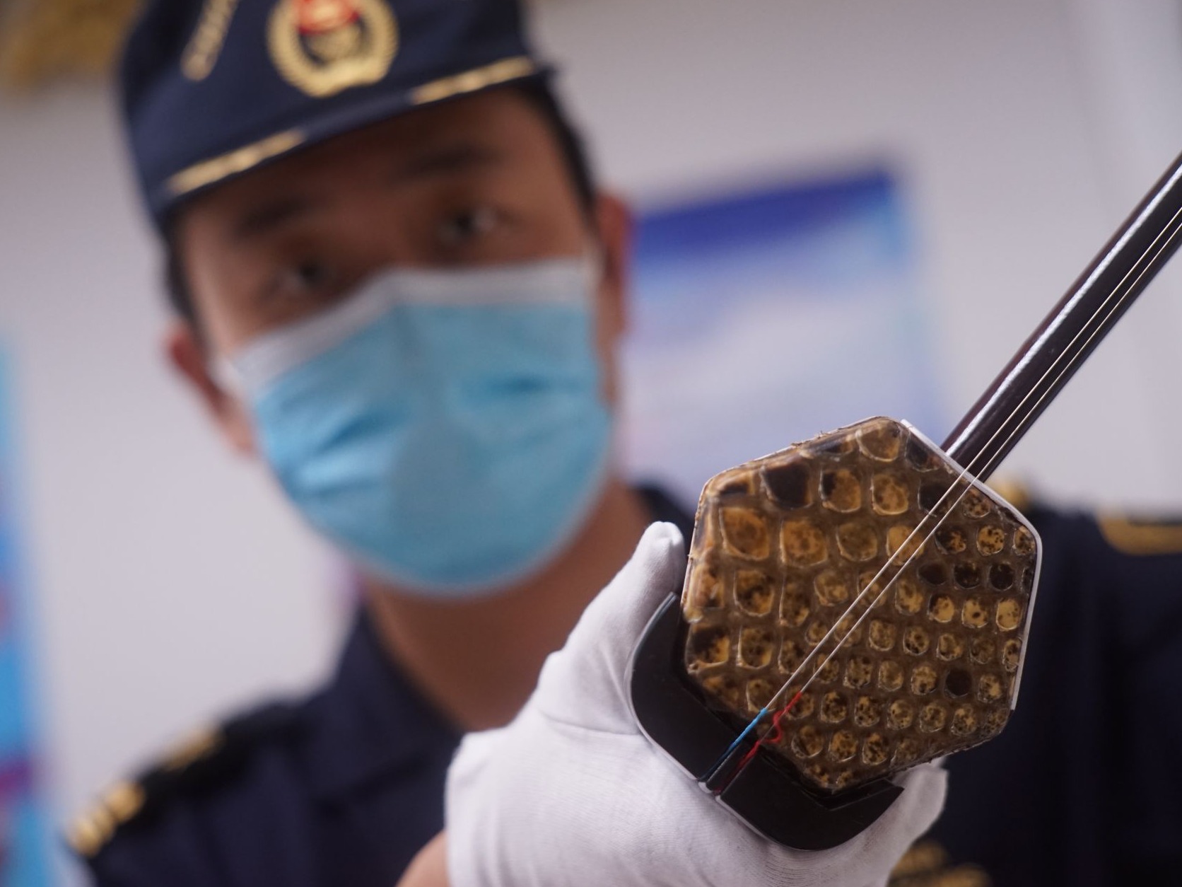 广州海关查获濒危物种蟒蛇皮制成的二胡
