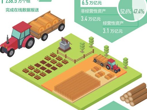 全国农村集体家底基本摸清：账面资产6.5万亿元